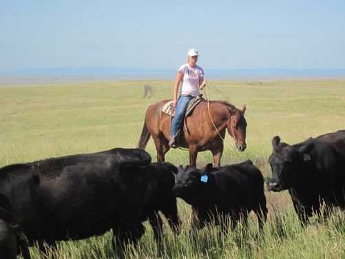 Rancharbete i South Dakota
